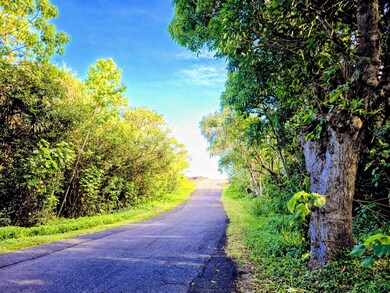0 Pohoiki Kalapana Rd unit 722457, Pahoa, HI 96778 - photo 5