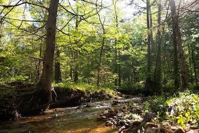 22474 State Hwy N, Squires, MO 65755 - photo 6