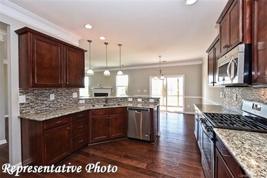 468 Snapdragon Dr unit LOT 278, Clover, SC 29710 - photo 6