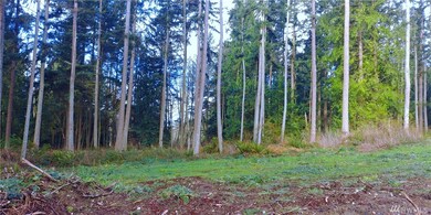 0 Kramer Rd, Langley, WA 98260 - photo 7