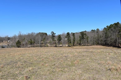 Thompson Farm Rd, Mabelvale, AR 72013 - photo 5
