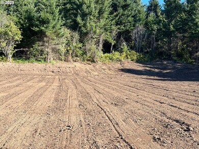 0 Harbor Hills Heights unit 654698490, Brookings, OR 97415 - photo 7