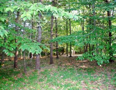 Land/Lot.