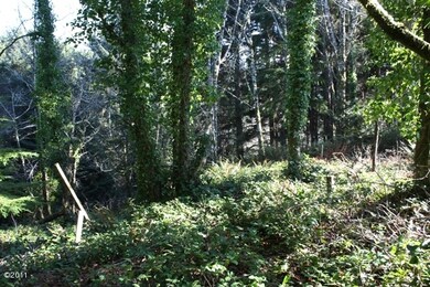 2500 Block SW Dune Ave, Lincoln City, OR 97367 - photo 2