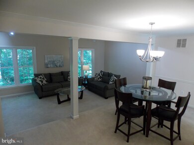 4631 Briar Patch Ct, Fairfax, VA 22032 - photo 6