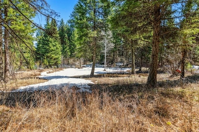 Wooded Lot