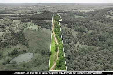 654 Red Hill Rd, Georgetown, AR 72143 - photo 3