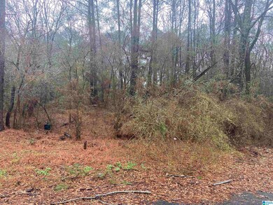 1511 Farris Dr unit 7-12, Birmingham, AL 35061 - photo 5