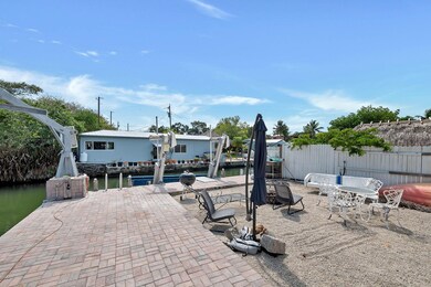 back yard 2