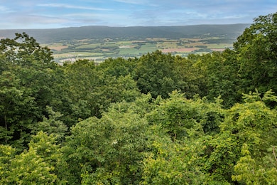 38 Gray Rock View, Pikeville, TN 37367 - photo 7