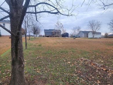 333 Blunt Ford Rd, Adolphus, KY 42120 - photo 5