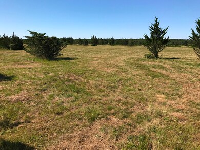 134 Sarita Walker Rd, West Tisbury, MA 02568 - photo 4