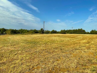 Lot 13A Valhalla Ct, Gordonville, TX 76245 - photo 3