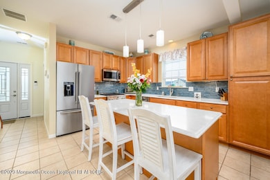 20 Lake Michigan Dr, Little Egg Harbor Township, NJ 08087 - photo 4