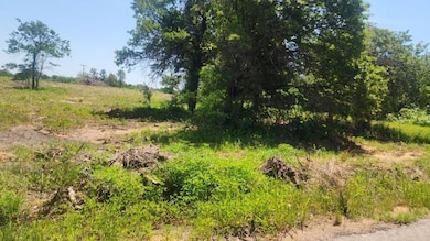 View of local wilderness