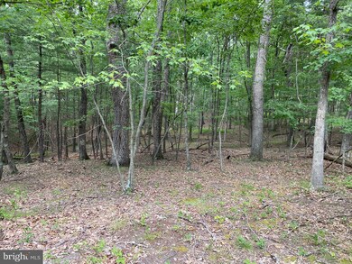 950 Oak Forest Ln, Berkeley Springs, WV 25411 - photo 5