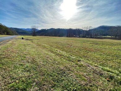 0 River Rapids Way unit 1102136, Del Rio, TN 37727 - photo 6