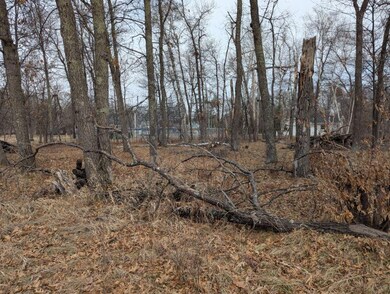 Lot 21 B0 Birch Ln, Breezy Point, MN 56472 - photo 2