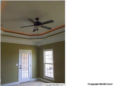 SIMILAR PHOTO HOUSE IS UNDER CONSTRUCTION MASTER BEDROOM WITH HEAVY TRIM AND ROPE LIGHTING