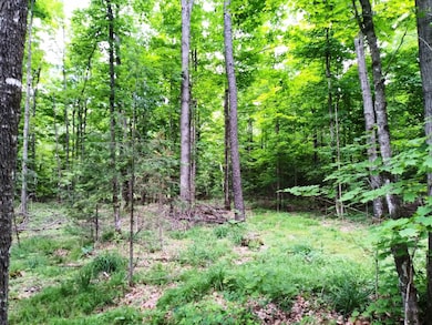 Tea Lake Rd, Crandon, WI 54520 - photo 4