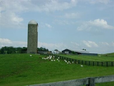 383 Dunn Ln, Harrodsburg, KY 40330 - photo 4