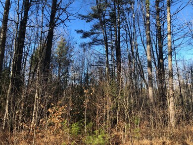 00 Intervale Dr, Fryeburg, ME 04037 - photo 3