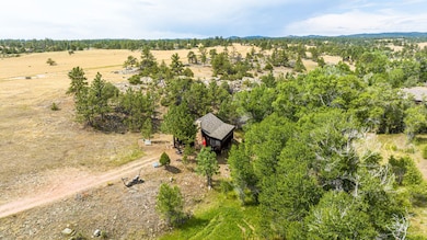 950 Meadow Creek Rd, Livermore, CO 80536 - photo 3