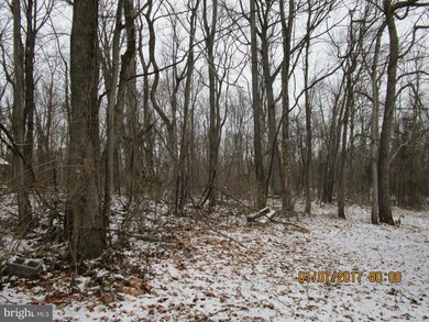 3734 Goldmiller Rd, Bunker Hill, WV 25413 - photo 4