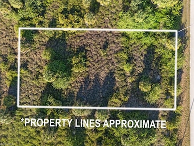 820 Casper Yost St E, Lehigh Acres, FL 33974 - photo 3