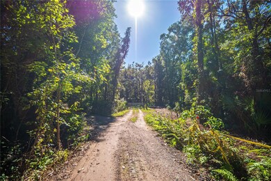 21490 NW 106th Court Rd, Micanopy, FL 32667 - photo 4