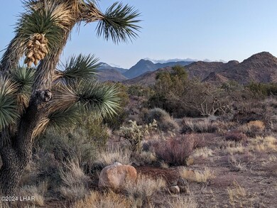 2624 S Gold Mine Rd, Yucca, AZ 86438 - photo 5