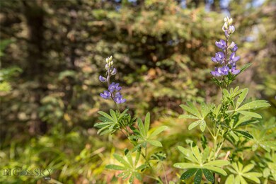 Tract 7 Skywood Rd, Big Sky, MT 59716 - photo 7