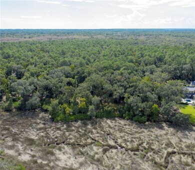 316 Pikes Bluff Dr, Saint Simons Island, GA 31522 - photo 6