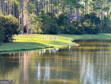 209 Placid Rd, St. Marys, GA 31558 - photo 2