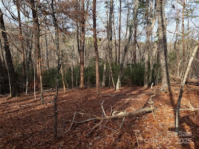 000 Skylark Ln unit 8, Tryon, NC 28782 - photo 4