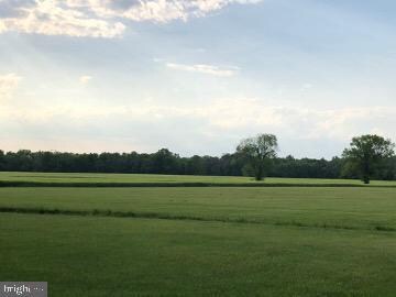 5174 Ritchie Rd, Bealeton, VA 22712 - photo 5