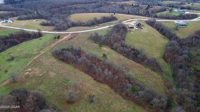 TBD Mountain Ridge Dr, Pineville South Township, MO 64854 - photo 5