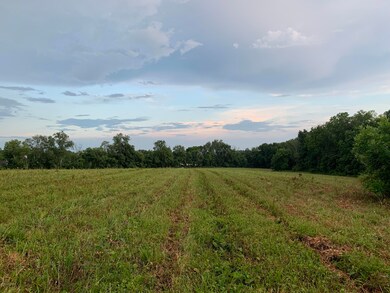 Tract 124B L'Esprit Pkwy, La Grange, KY 40031 - photo 4