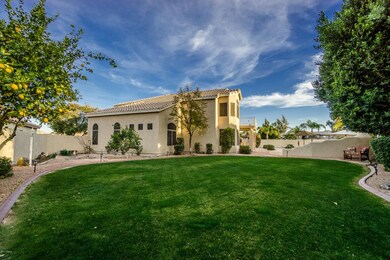 Oversized Lot w Citrus Trees