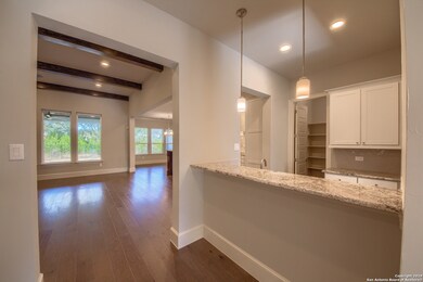 3830 Luz Del Faro, San Antonio, TX 78261 - photo 5