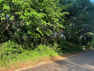 314 Mildred St, Ozark, AL 36360 - photo 4