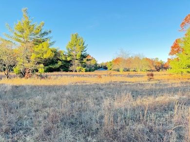 10.01AC Barberry Ave, Brooks Township, MI 49337 - photo 7