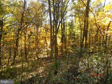 18 Axton Ln, Linden, VA 22642 - photo 6