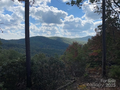 61 Scenic Vista Dr unit 238, Nebo, NC 28761 - photo 7