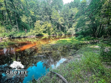 0 Spring Hill Rd, Red Springs, NC 28377 - photo 5