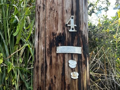 0 25th Ave unit 725675, Keaau, HI 96749 - photo 3