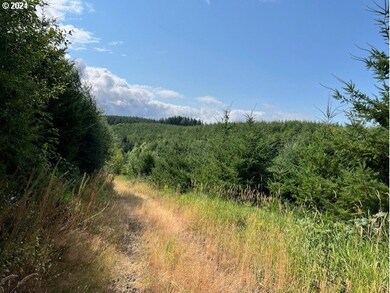 0 Lindberg Rd, Clatskanie, OR 97016 - photo 6