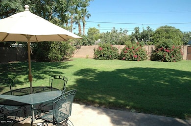 Large Irrigated Rear Yard