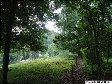 View looking down to road from house