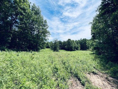 122 Mercy Ln, Cookeville, TN 38506 - photo 7